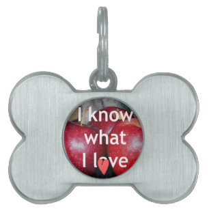 "I Know What I Love" – Apple-Themed Design Pet Tag