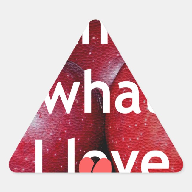 "I Know What I Love" – Apple-Themed Design Triangle Sticker (Front)