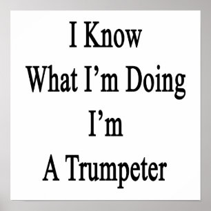 I Know What I'm Doing I'm A Trumpeter Poster