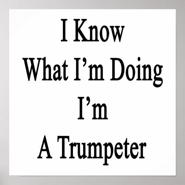 I Know What I'm Doing I'm A Trumpeter Poster (Front)