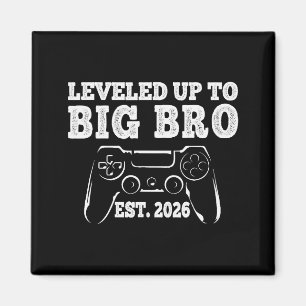 I Leveled Up To Big Bro 2026 Promoted To Big Broth Magnet