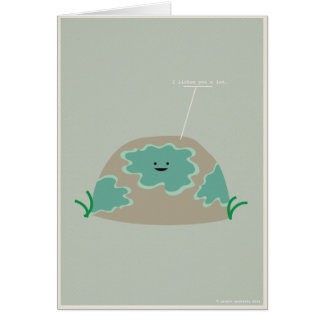 I lichen vous beaucoup