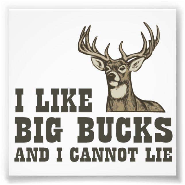 I Like Big Bucks And I Cannot Lie Photo Print (Front)