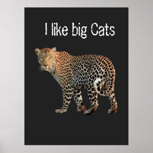 I like big Cats Leopard design to customise   Poster