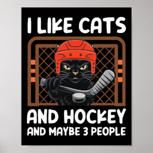 I Like Cats And Hockey And Maybe 3 People Funny Co Poster