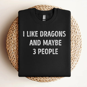 I Like Dragons And Maybe 3 People Funny Dragon Lov T-Shirt