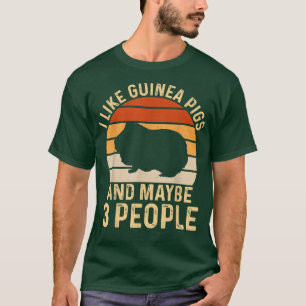 I Like Guinea Pigs & Maybe 3 People Vintage Sunset T-Shirt