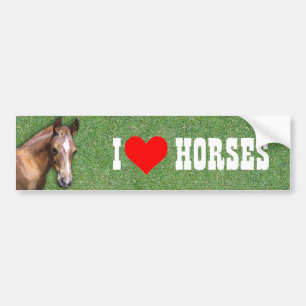 I like Horses Bumper Sticker