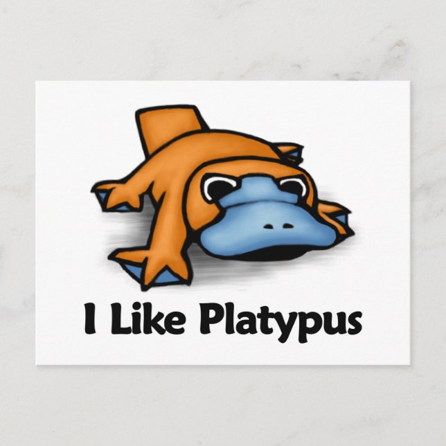 I Like Platypus Postcard (Front)
