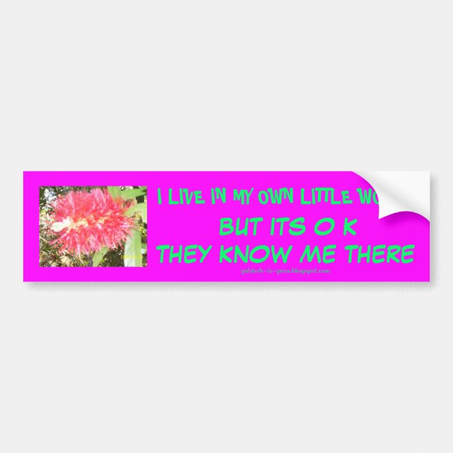 I LIVE IN MY OWN LITTLE WORLD BUMPER STICKER (Front)