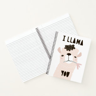I Llama You Notebook