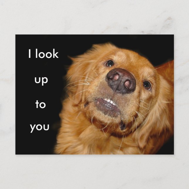I look up to you postcard (Front)