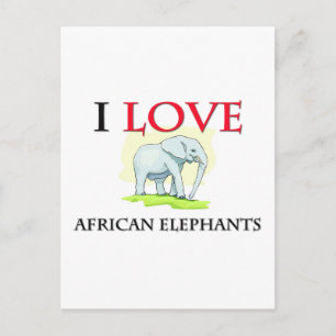I Love African Elephants Postcard