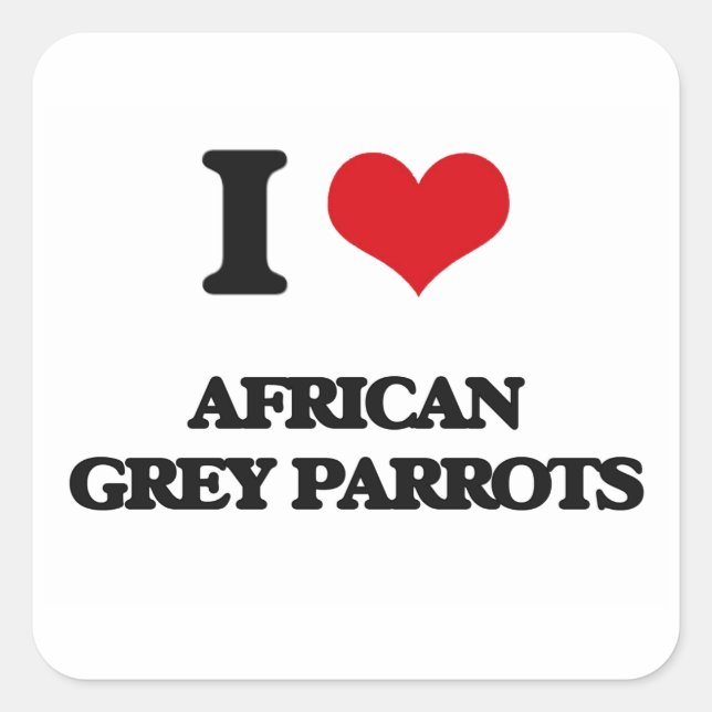 I love African Grey Parrots Square Sticker (Front)