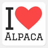 I love alpaca