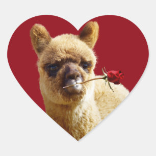 I Love Alpacas Coeur Stickers pour Amoureux des an