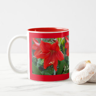 I love Amaryllis Flowers Cup 