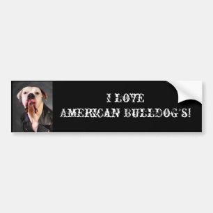 I love American Bulldog's! Bumper Sticker