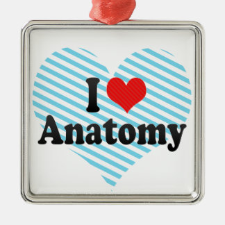 I Love Anatomy Metal Ornament