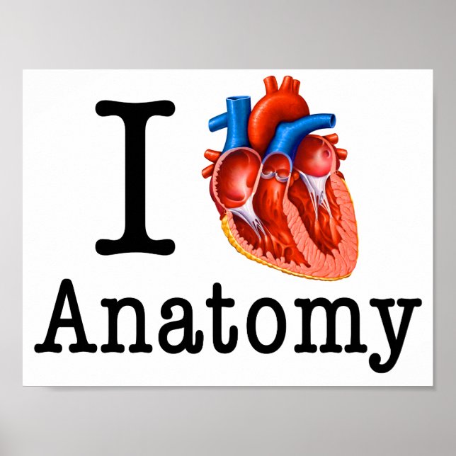I love Anatomy Poster (Front)