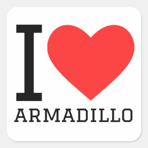 I love armadillo square sticker