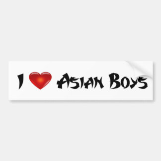 I Love Asian Boys Bumper Sticker