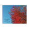 I Love Autumn Postcard