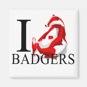 I Love Badgers Magnets