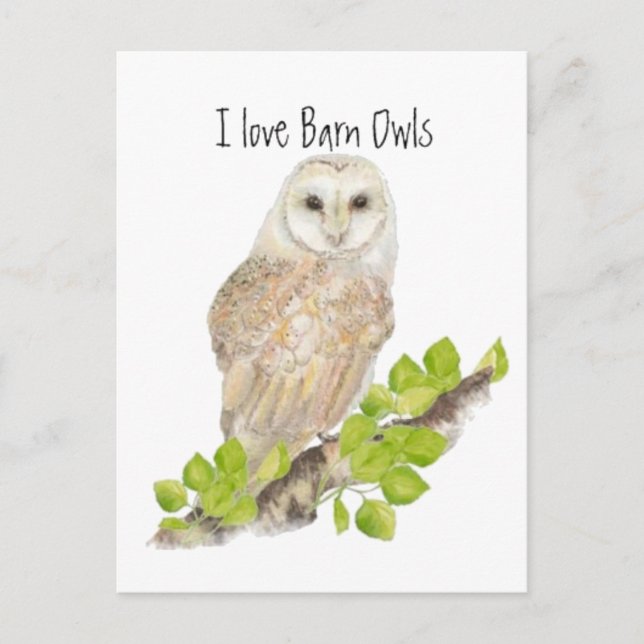 I love Barn Owls - Bird Postcard (Front)