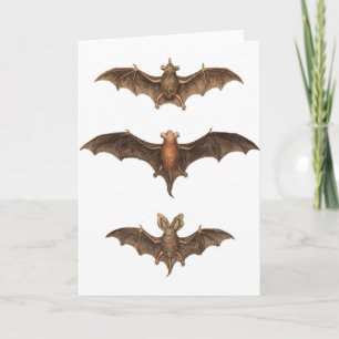 I love bats card