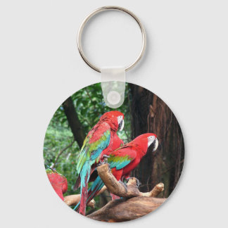 I love beautiful birds! keychain