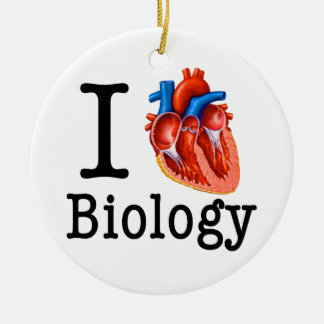 I Love Biology Ceramic Ornament