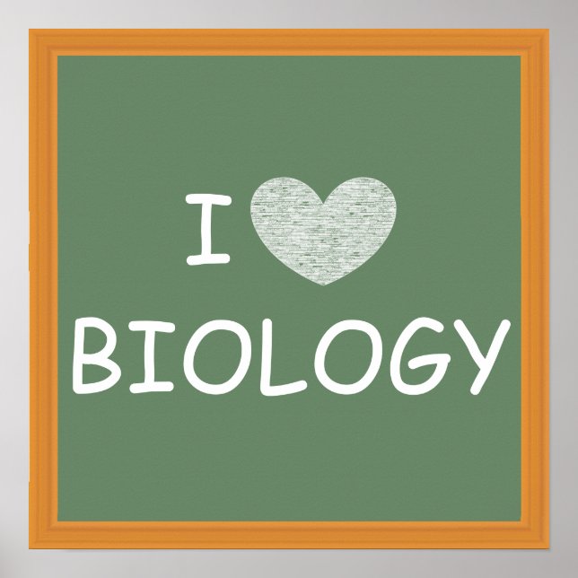 I Love Biology Poster (Front)