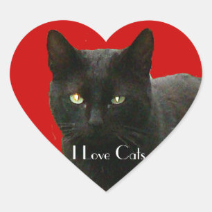 I Love Black Cats Heart Sticker