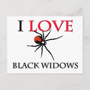 I Love Black Widows Postcard