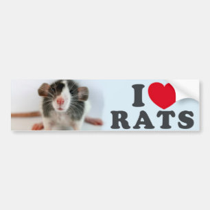 I love (blazed) Rats Bumper Sticker