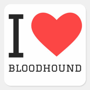 I love bloodhound square sticker