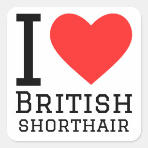 I love British shorthair Square Sticker