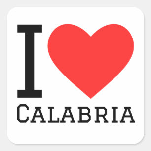 I love calabria square sticker