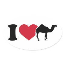I Love Camels