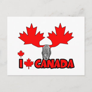 I love Canada Postcard