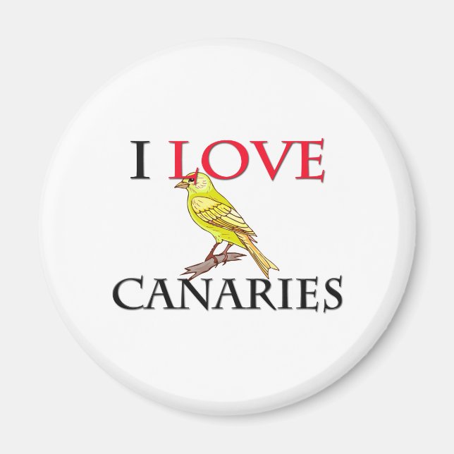 I Love Canaries Magnet (Front)