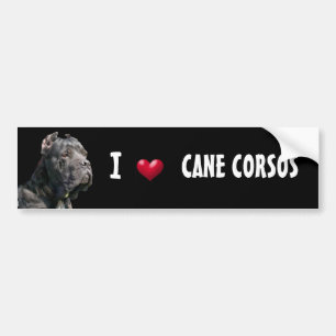 I Love Cane Corsos bumper sticker