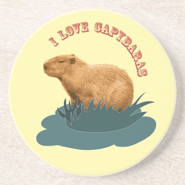I love Capybaras Coaster (Front)