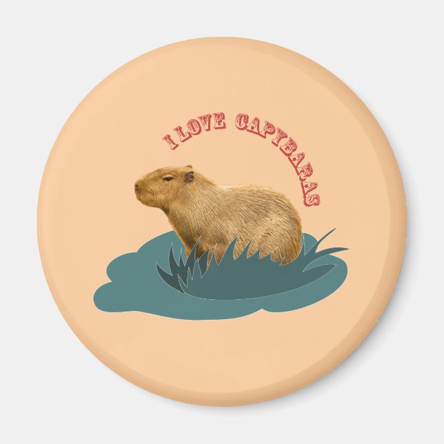 I Love Capybaras Cute Capybara Lover Magnet (Front)