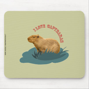 I love capybaras mouse pad