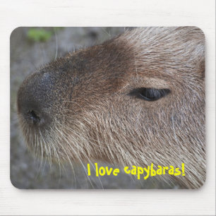 I love capybaras mouse pad