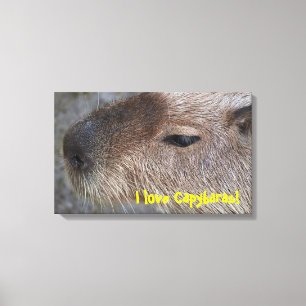 I love Capybaras! Stretched Canvas Print
