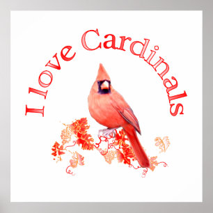 I Love Cardinals Poster