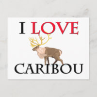I Love Caribou